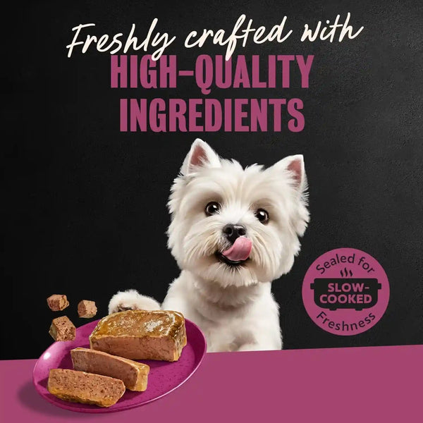 Cesar Wet Dog Food, Steak Lovers Variety Pack, 3.5 Oz, 36 Count | Real Meat #1 Ingredient, Easy Peel Trays, 100% Complete & Balanced, No Fillers, No Added Sugar, No Artificial Flavors13