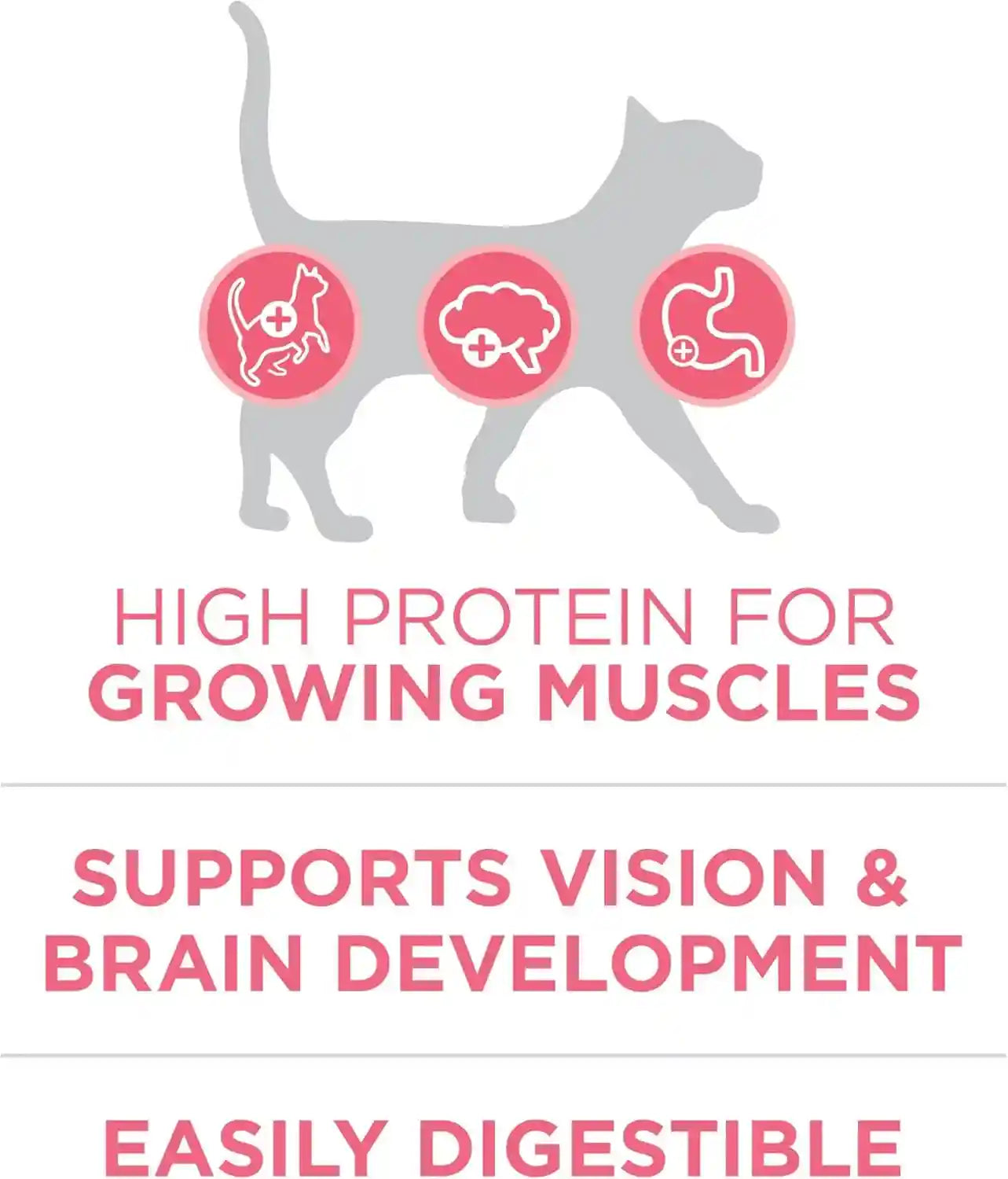 purina-one-high-protein-natural-dry-kitten-food-plus-healthy-kitten-formula-7-lb-bag