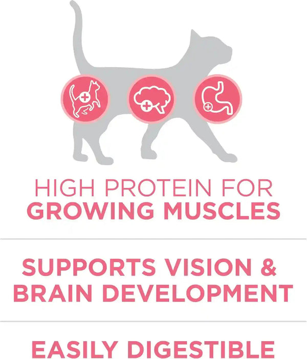 Purina ONE High Protein, Natural Dry Kitten Food, +Plus Healthy Kitten Formula - 7 Lb. Bag4