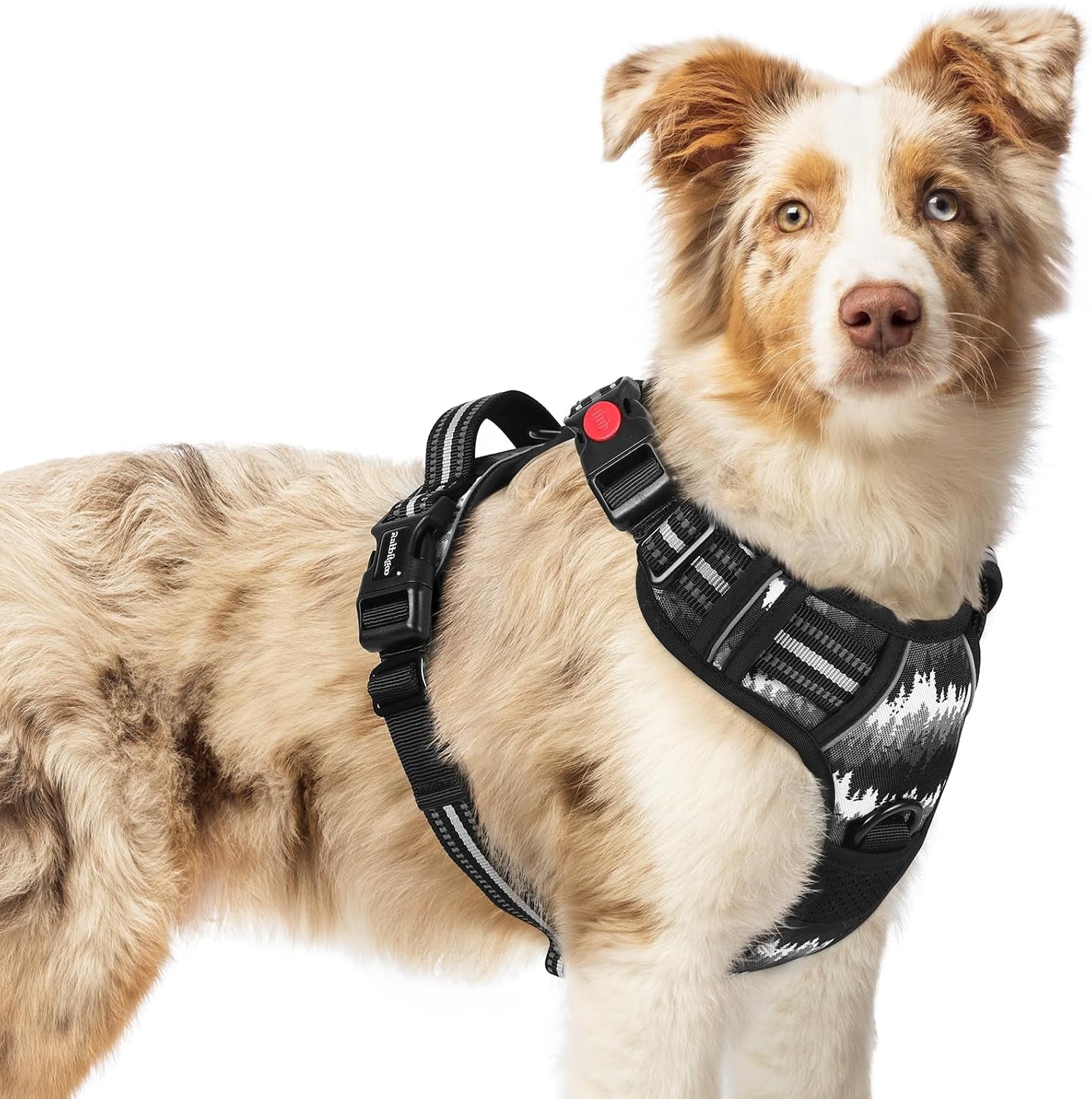rabbitgoo-dog-harness-medium-sized-updated-easy-on-off-with-3-buckles-no-pull-no-choke-walking-with-2-clips-and-handle-adjustable-soft-reflective-blue-medium