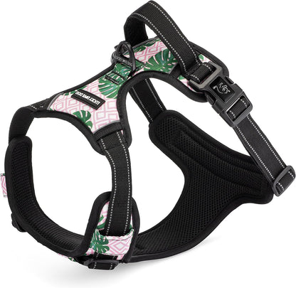 Lucky Love Dog No Pull Dog Harness, Adjustable and Easy to Walk, Cute Patterned Harness for Medium Male & Female Dogs - Blackbird, Medium6