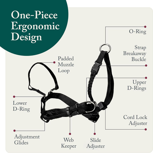 Sporn Head Halter for Dogs, No Pull Dog Harness, Durable Nylon Training Collar for Large Breeds, No Choke Design, Padded Restraints, Adjustable Fit, Easy On/Off, Black, Large5