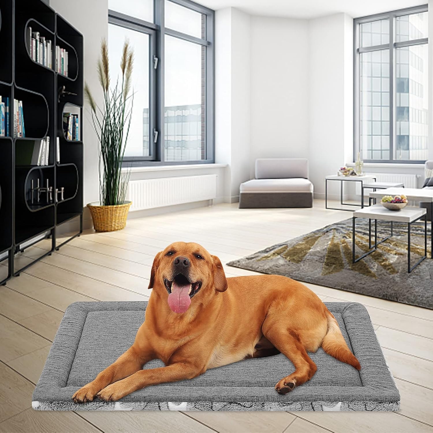 empsign-dog-crate-pad-for-42x28-dog-crate-star-pattern-grey-reversible-kennel-mat-cool-warm-machine-washable-cozy-star-pattern-sleeping-pad-all-season-pet-bed
