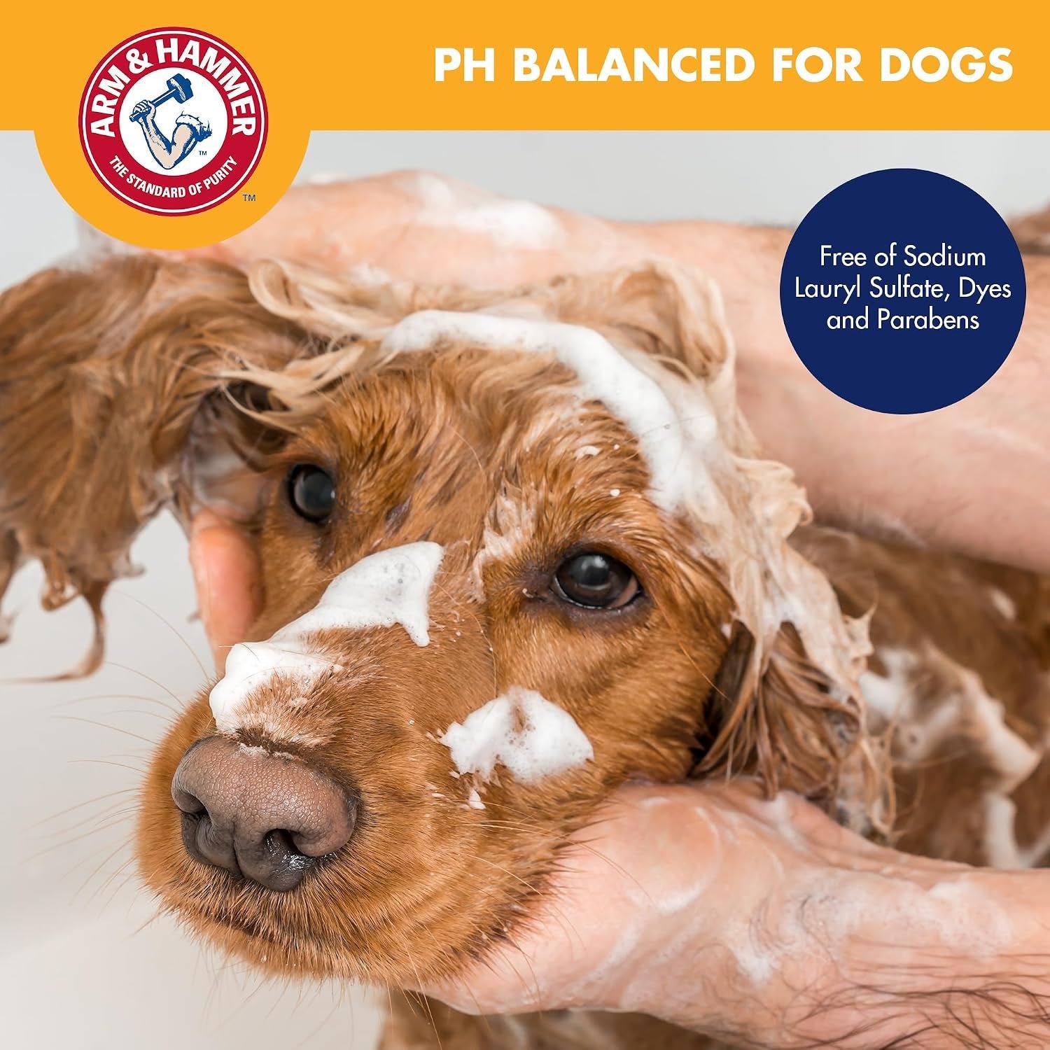 arm-and-hammer-for-pets-heavy-duty-multipurpose-dog-bath-wipes-mango-scent-all-purpose-wipes-remove-odor-and-refresh-your-dog-s-skin-between-baths-100-count-2-pack