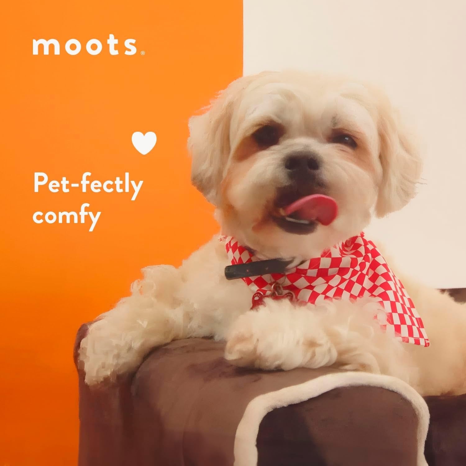 moots-furry-pet-lounge-pet-bed-with-2-pillows-deluxe-sofa-for-dogs-easy-to-coordinate-stylish-and-cleanable-dog-sofa-couch-charcoal-large