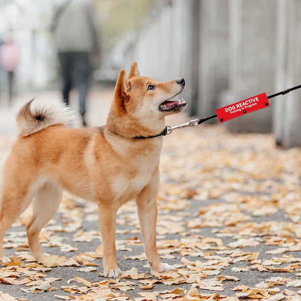 Advivio Dog Reactive Training in Progress Funny Red Dog Leash Sleeve, Wrap Alert Hanging ID Patch Tag for Pet the Best Choice for Daily Walking and Training Fitness, Pet Birthday Gift3