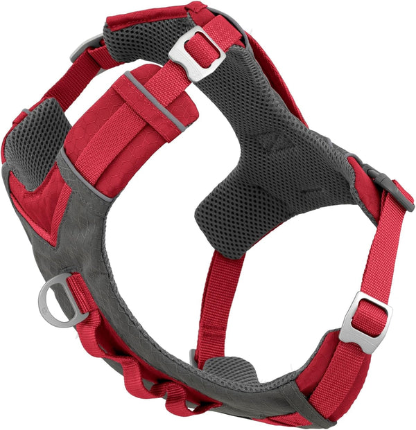 Kurgo Journey Air Dog Harness, Blue, Small | Padded Chest, Ripstop Outer & Breathable Mesh, Back Assist Handle, Rust-Free Aluminum Hardware, Reflective Trim9