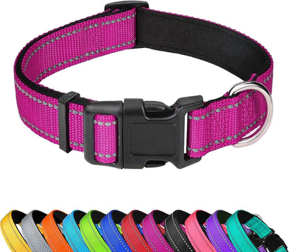 Reflective Dog Collar, Adjustable Soft Neoprene Padded,Teal,M | Breathable Nylon for Medium Dogs,Tear-Resistant Webbing,Chafe‑Free on Walks and Hikes,Metal D-Ring,Night Safety14