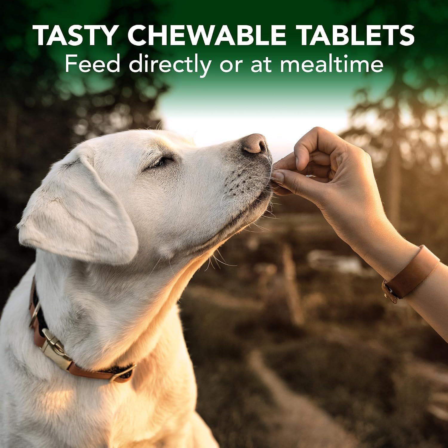 vets-best-seasonal-allergy-chewable-tablets-for-dogs-soothes-dog-60ct-seasonal-allergy-relief-tablets-helps-soothe-itchy-skin-supports-healthy-skin-coat-daily-chewable-formula