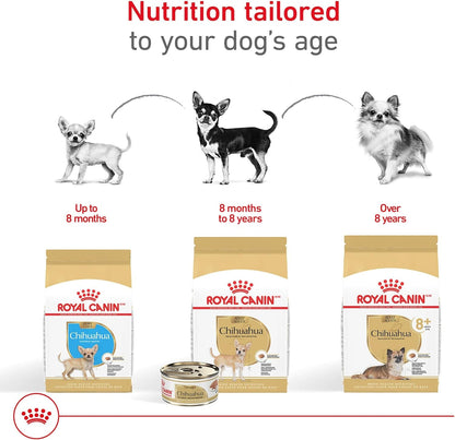 ROYAL CANIN Breed Health Nutrition Chihuahua 8+ Senior Dry Dog Food, 2.5 Lb Bag5