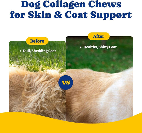 Collagen for Dogs, Soft Chews for Hip, Joint, Skin & Coat Supplement | Collagen Soft Chews for Cartilage,Mobility Support with Types I, II & III Collagen and Superfood-120 Count,Duck & Pear Flavor5