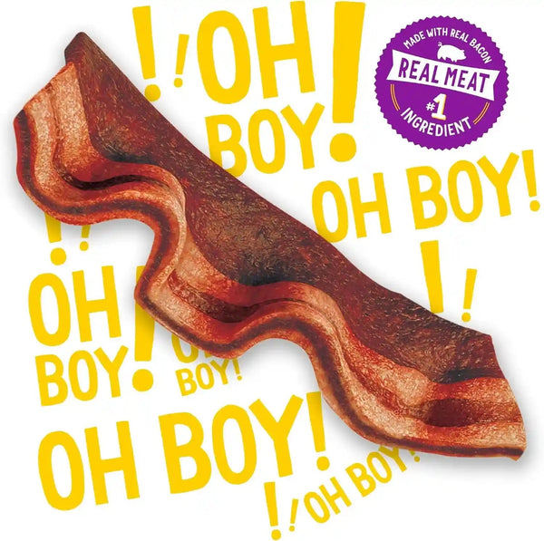 Purina Beggin' Strips Real Meat Dog Treats, Thick Cut Hickory Smoke Flavor - (Pack of 2) 26 Oz. Pouches2