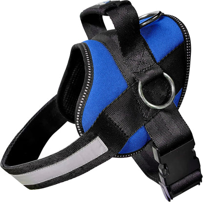 Joyride Basic Dog Harness 1.0 | Blue Serenity | M | Adjustable Pet Vest with 3 Side Leash Rings for Training, Walking and Improved Control for Small, Medium or Large Dogs1