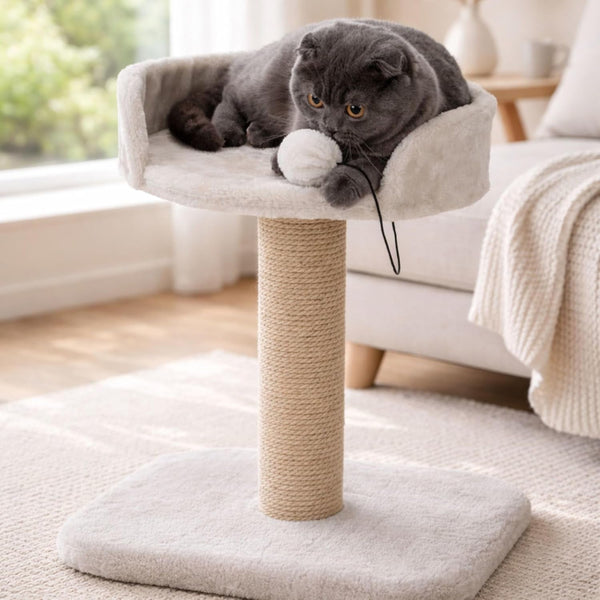 Trixie Mica 18-In Cat Tree for Kittens, Indoor Jute Scratching Post Cat Furniture, Padded Platform, Dangling Toy, Greige5