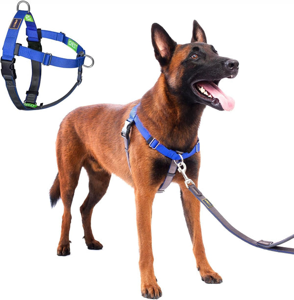 Freedom No Pull Dog Harness, Purple, Large | Designed for Hound Dog Train, Easy Walk with 2 Stainless D-Rings, Sewn-In Instructions Tags, 60-80 Lbs13