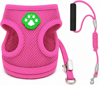 Dog Collar and Leash Set with Bowtie, Soft & Cute Puppy Collar, Cotton Puppy Collar with Adjustable Metal Buckle for Small, Medium Dog (Pink, Size S: Neck 10"-16")14