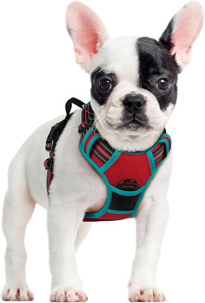 Rabbitgoo Dog Harness, No Pull for Large Dogs with 2 Leash Clips, Pet Vest | No Choke with Handle, Adjustable Soft Padded, Reflective, Easy Control for Walking, Black, Large38