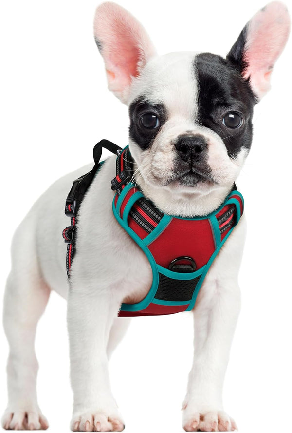 Rabbitgoo Dog Harness, No Pull for Large Dogs with 2 Leash Clips, Pet Vest | No Choke with Handle, Adjustable Soft Padded, Reflective, Easy Control for Walking, Black, Large38
