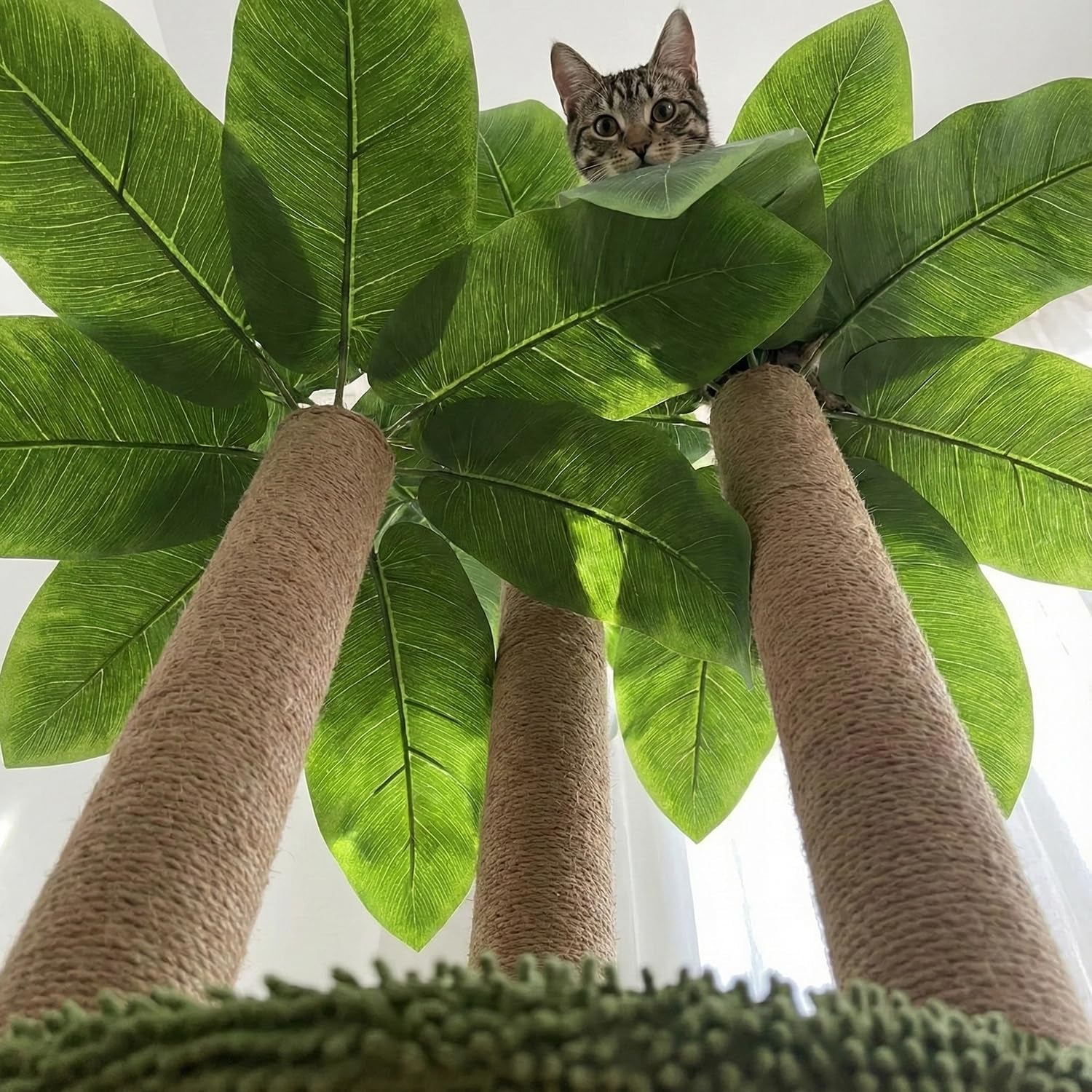 lemonda-31-5inch-cat-scratching-post-cat-scratcher-tree-with-3-scratching-poles-2-interactive-dangling-balls-cats-scratching-posts-for-indoor-kitten-adult-cats-cat-scratcher-tree-3-scratching-poles-cat-scratching-posts-2-interactive-dangling-balls-for-indoor-kitten-adult-cats