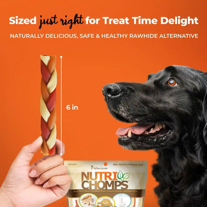 Nutrichomps Rawhide-Free Dog Chews, 6 in Braids, Chicken, PB, Milk, 10 Ct | a Rawhide-Free Chew That'S Gentle and Easy to Digest, Made with the Real, Wholesome Ingredients Dogs Love4