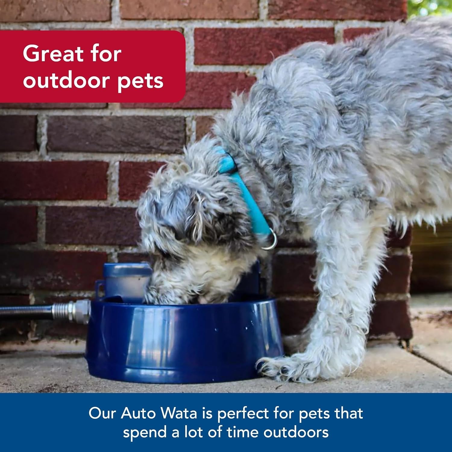 coastal-pet-bergan-auto-wata-outdoor-dog-cat-water-dispenser-automatic-water-bowl-for-pets-made-from-durable-bpa-free-plastic-self-watering-cat-dog-bowl-navy-48-ounces
