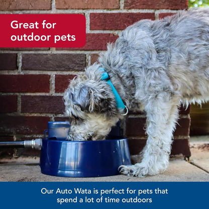 Coastal Pet Bergan Auto-Wata - Outdoor Dog & Cat Water Dispenser - Automatic Water Bowl for Pets - Made from Durable, Bpa-Free Plastic - Self-Watering Cat & Dog Bowl - Navy, 48 Ounces4