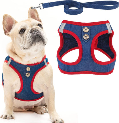 PUPTECK Dog Harness and Leash Set for Small Medium Dogs No Pull Step-In Soft Mesh Puppy Cat Vest Harnesses Reflective at Night, Green S35