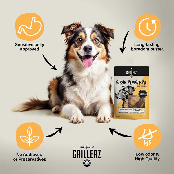 Grillerz Real Pig Ears, Rawhide-Free, 12 Count | Single-Ingredient, All-Natural Pig Ears - a High-Protein, Easily Digestible Chew Dogs Love2