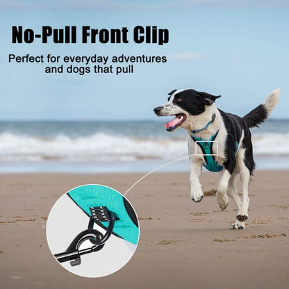 Poypet No Pull Dog Harness, Reflective Comfortable Vest Harness with Front & Back 2 Leash Attachments and Easy Control Handle Adjustable Soft Padded Pet Vest for Small Medium Large Dogs (Mint Blue,M)2