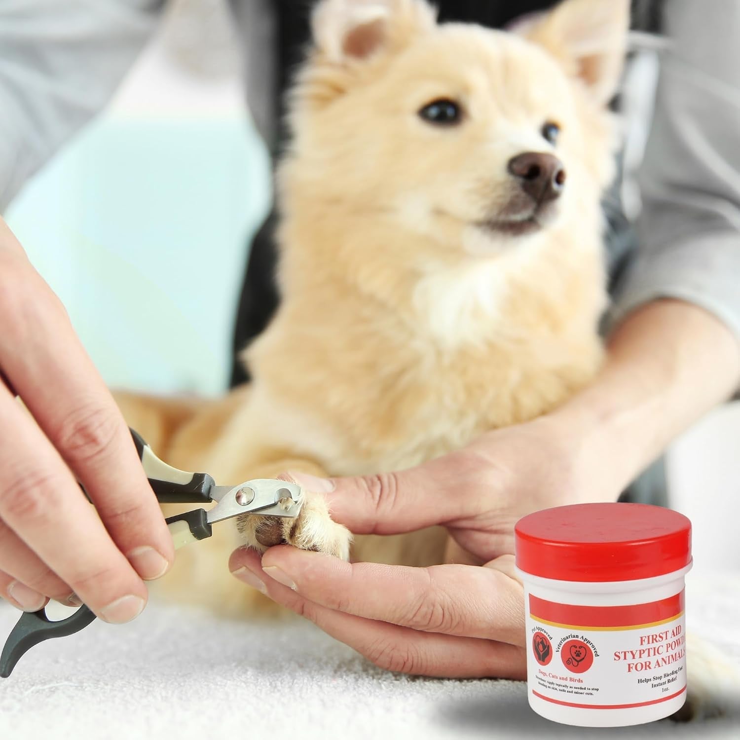 g-b-s-styptic-powder-for-dogs-cats-and-birds-1-oz-fast-acting-blood-stop-powder-for-pets-animals-quick-stop-bleeding-powder-for-nail-clipping-cuts-grooming