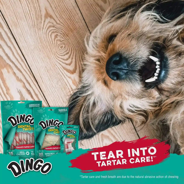 Dingo Dental Sticks Dog Treats with Real Chicken & Parsley, 48 Count | Real Parsley Freshens Breath, Chewing Reduces Tartar & Plaque, Fully Digestible, for Adult Dogs5