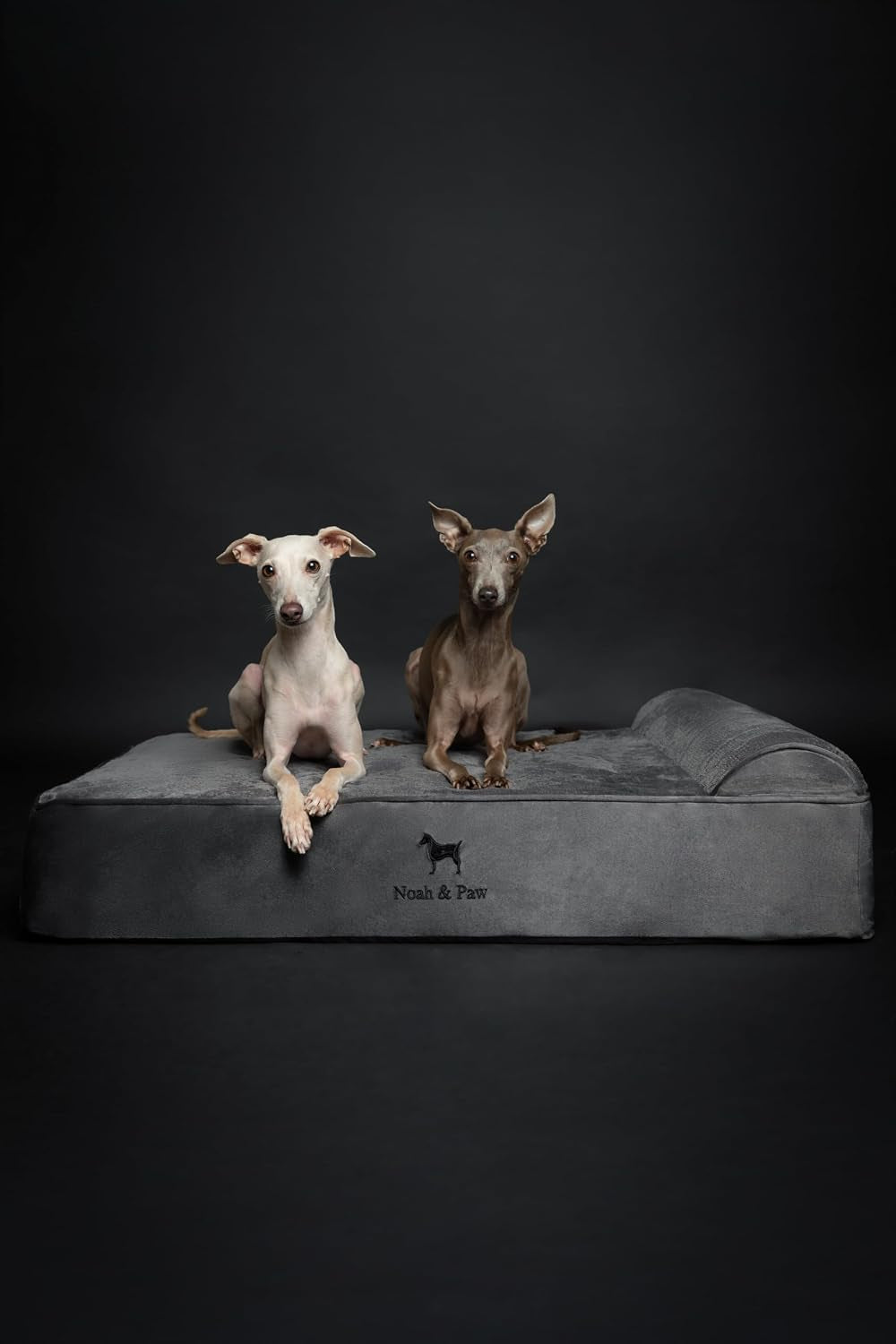 noah-paw-large-dog-bed-35x25x8-7-inch-orthopedic-dog-beds-eggshell-memory-foam-infused-with-cooling-gel-water-resistant-machine-washable-includes-inner-cover-velvet-collection