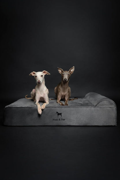 NOAH & PAW Large Dog Bed, 35X25X8.7 Inch, Orthopedic Dog Beds, Eggshell Memory Foam Infused with Cooling Gel, Water Resistant, Machine Washable, Includes Inner Cover (Velvet Collection)3