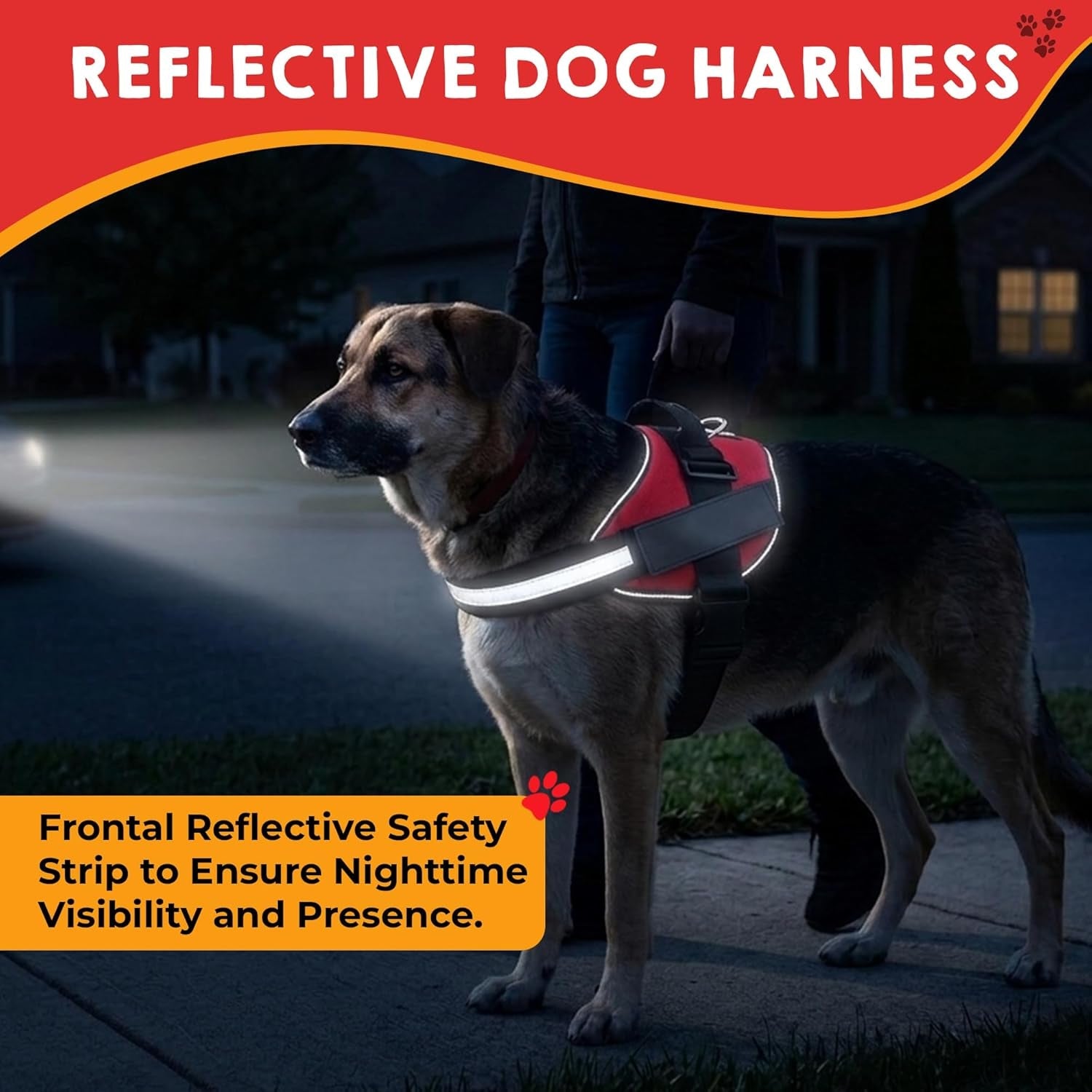 service-dog-vest-id-tag-50-ada-information-cards-harness-with-patchs-m-medium-chest-21-5-26-inch-durable-metal-tag-2-sided-service-animal-cards-esa-accessory-set