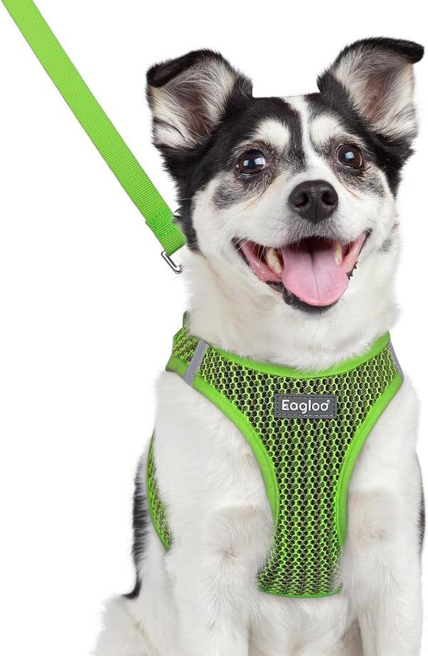 Eagloo Small Dog Harness and Leash Set, Step in Small Sized Puppy Pet Vest | Light, Soft, Breathable Air Mesh, Easy on and off with Hook & Loop, Reflective for Safe Walking, Pink, S35