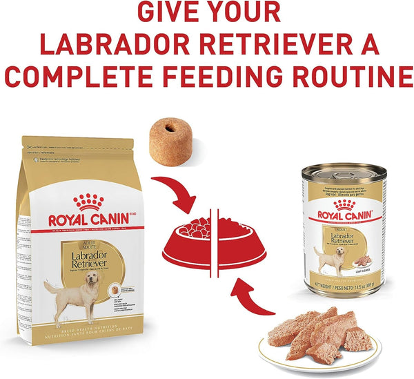 ROYAL CANIN Breed Health Nutrition Labrador Retriever Adult Dry Dog Food, 30 Lb Bag6