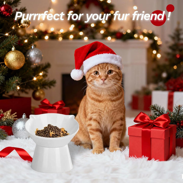 Detachable Elevated Cat Bowls, 15° Tilted Raised Cat Food Bowl Anti-Vomiting, Whisker Friendly, Adjustable Pet Cat Dishes for Protecting Spine, Adult Kitten (White)2
