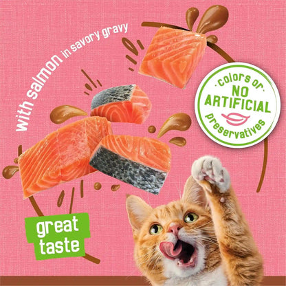 Purina Friskies Wet Cat Food Extra Gravy Pate with Salmon in Savory Gravy - (Pack of 24) 5.5 Oz. Cans4