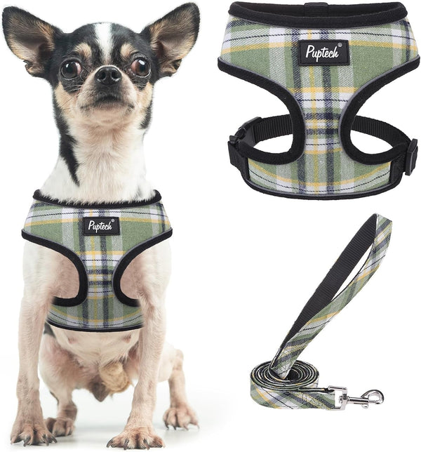 PUPTECK Soft Mesh Dog Harness Small Sized and Leash Set Pet Puppy Cat Comfort Padded Vest No Pull Harnesses, Beige, S95