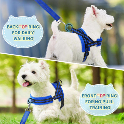 Lukovee No Pull Dog Harness and Leash Set, Soft Padded Small Dog Harness, Neck & Chest Adjustable Reflective Vest Puppy Harness with 4Ft Lightweight Anti-Twist Dog Leash for Small Dogs (XS, Blue)7