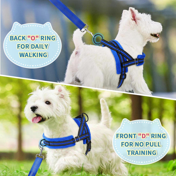 Lukovee No Pull Dog Harness and Leash Set, Soft Padded Small Dog Harness, Neck & Chest Adjustable Reflective Vest Puppy Harness with 4Ft Lightweight Anti-Twist Dog Leash for Small Dogs (XS, Blue)7