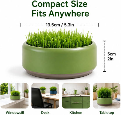 Komorebi Cat-Specific Reusable Hydroponic Herb Growing Box Set-Easy to Use-3 Colour (Seeds Not Included) (Green)5