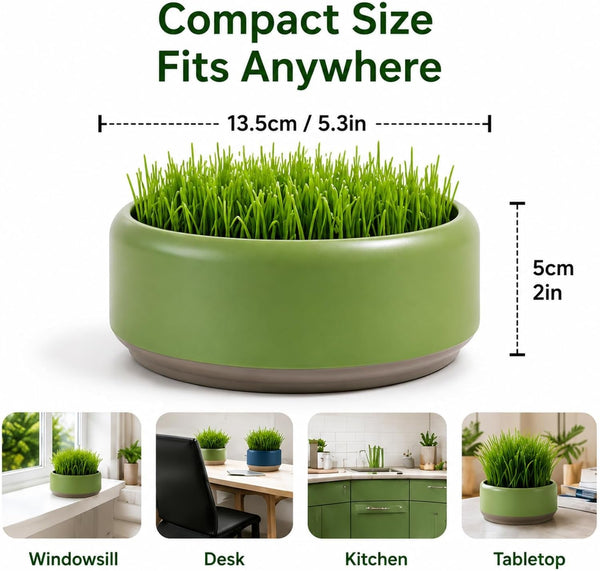 Komorebi Cat-Specific Reusable Hydroponic Herb Growing Box Set-Easy to Use-3 Colour (Seeds Not Included) (Green)5