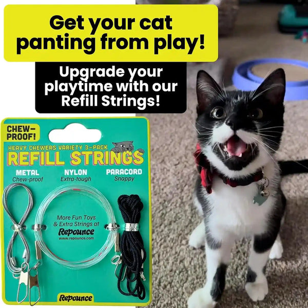 Cat Toy String Replacement 3-Pack - Chew Proof Metal Wire, Cat Wand String Replacement Variety Pack, Official Cat Toy Refill Strings for Forever Stick Cat Toy Wand, Transparent Fishing Line Nylon Cord8