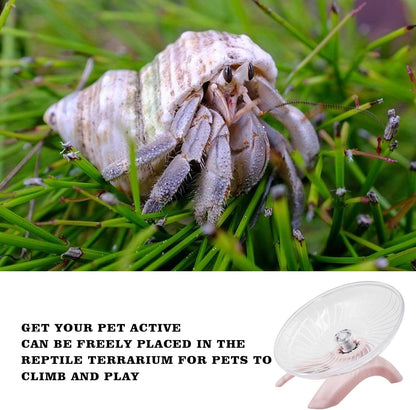 Hermit Crabs Wheel Toy, Hamster Running Wheel Toys, Small Animals Cage Accessory, Tank Accessory, Suitable for Hermit Crab Hamster Rat2