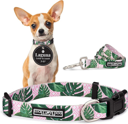 Lucky Love Dog - Easy Click Buckle Dog Collar with Leash Set Combo, Durable & Comfortable for Male & Female Dogs, Pet Collar for Medium Dogs, Secure Fit - Blackbird Combo, Medium82