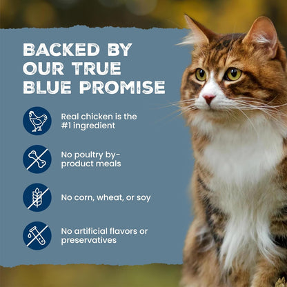 Blue Buffalo Wilderness Tasty Chicken Crunchy Cat Treats, Grain-Free Cat Treats, Real Chicken, Natural Ingredients, Enhanced with Vitamins, Minerals & Other Nutrients, Great for Training, Tub 12 Oz.9