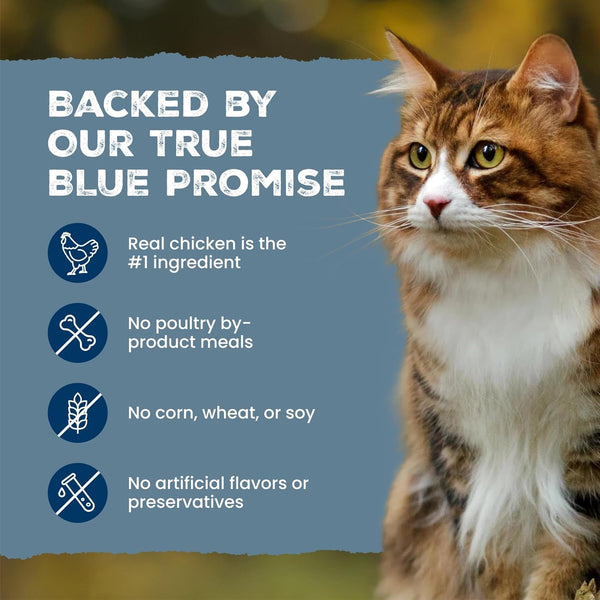 Blue Buffalo Wilderness Tasty Chicken Crunchy Cat Treats, Grain-Free Cat Treats, Real Chicken, Natural Ingredients, Enhanced with Vitamins, Minerals & Other Nutrients, Great for Training, Tub 12 Oz.9