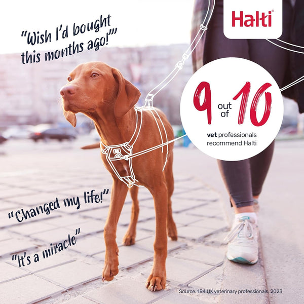 Halti No Pull Harness (Size Medium) & Training Leash (Size Large, Black) | Bundle | Stop Your Dog Pulling on the Leash | Adjustable, Lightweight and Easy to Use | Suitable for Medium Dogs9