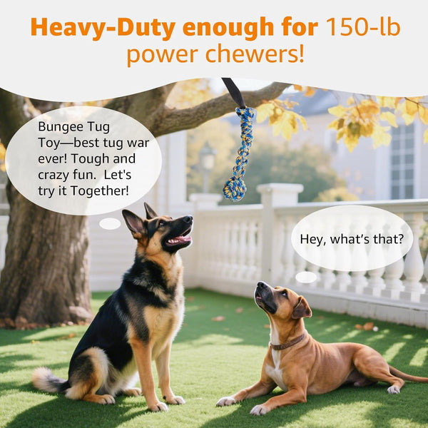 LOOBANI Outdoor Bungee Tug Toy, Interactive Tree Hanging Dog Toys, Black | Durable, Tug of War, Exercise Play Cord & Tether, Chew Rope Toy, Muscle Building & Bite Training, for Small to Large Dogs5